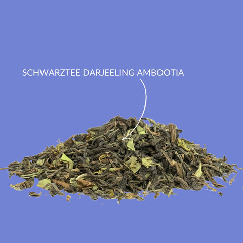 Schwarzer Tee „First Flush Darjeeling Ambootia" - Teekränzchen