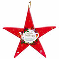 Tee Weihnachtsstern zum Aufhängen "Pink Star" - Rot - 6 Pyramidenbeutel - Teekränzchen