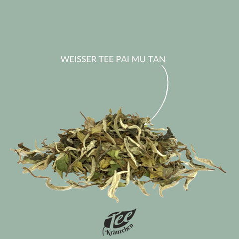 Weißer Tee „Pai Mu Tan“ - Teekränzchen