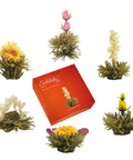 Weisser Tee Teeblumen Erblühtee in edler Geschenkbox - Teekränzchen